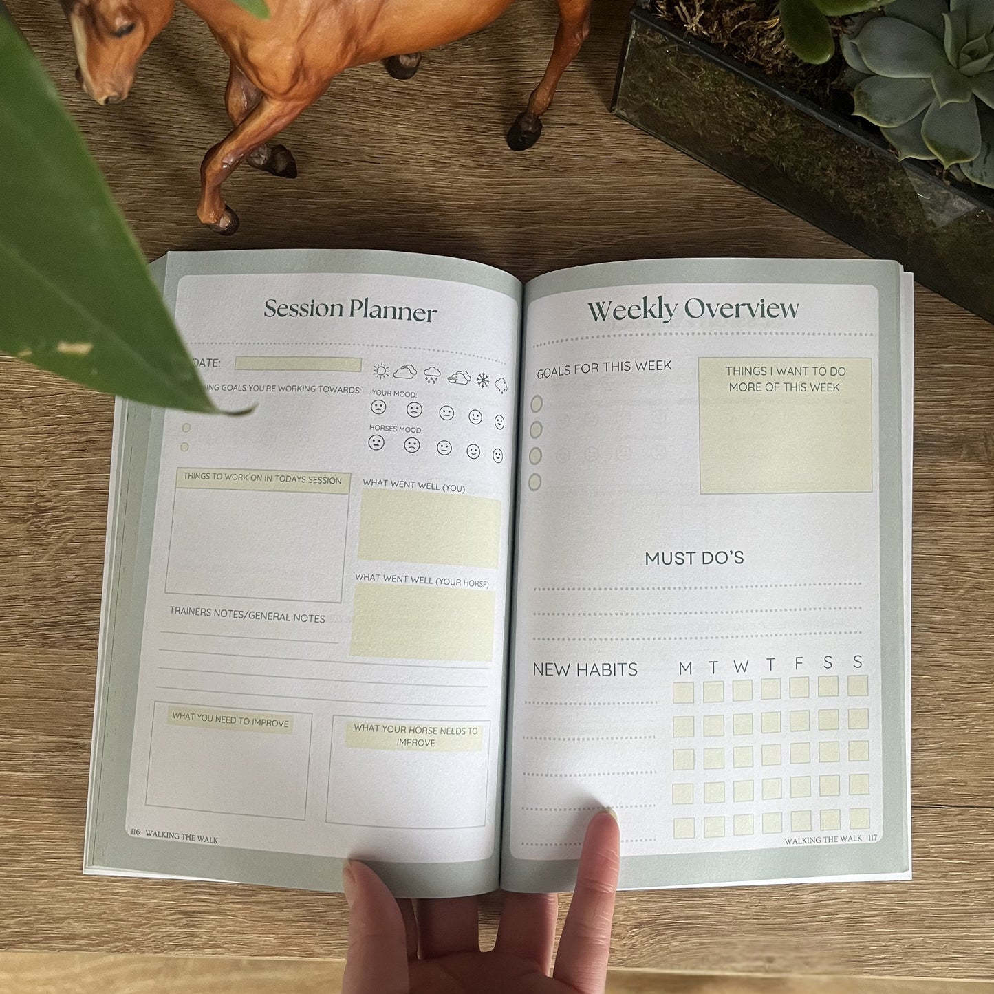 Calm and Collected- A guided journal and planner for equestrians