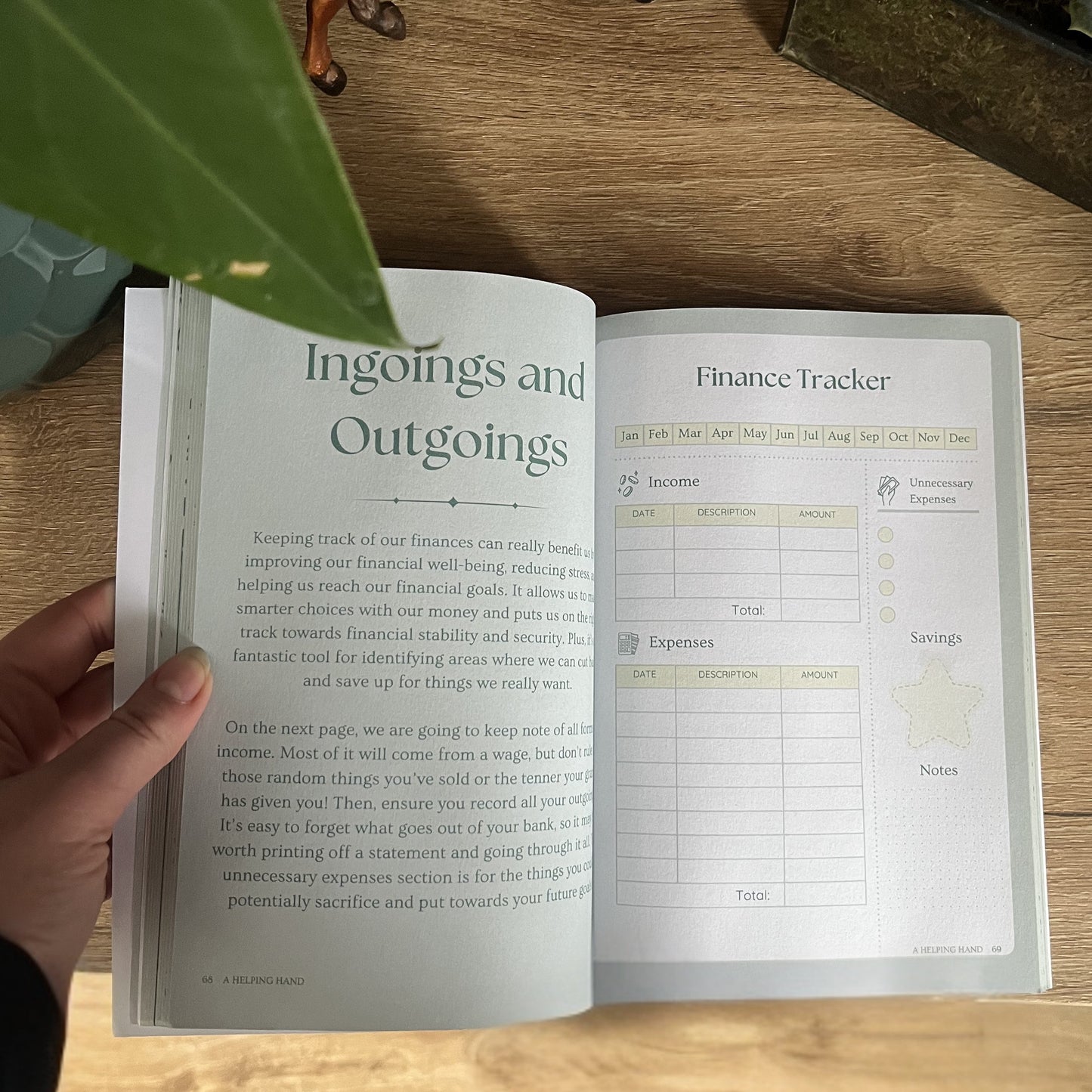 Calm and Collected- A guided journal and planner for equestrians